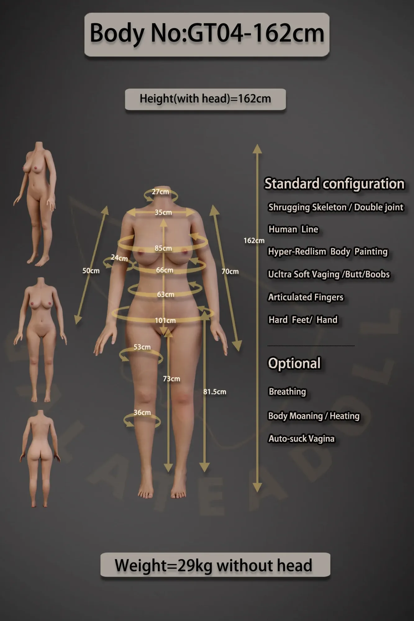 Galatea | Aveline-162cm(5ft4) ROS Full Silicone Medium Breast Lifelike Sex Doll view 4